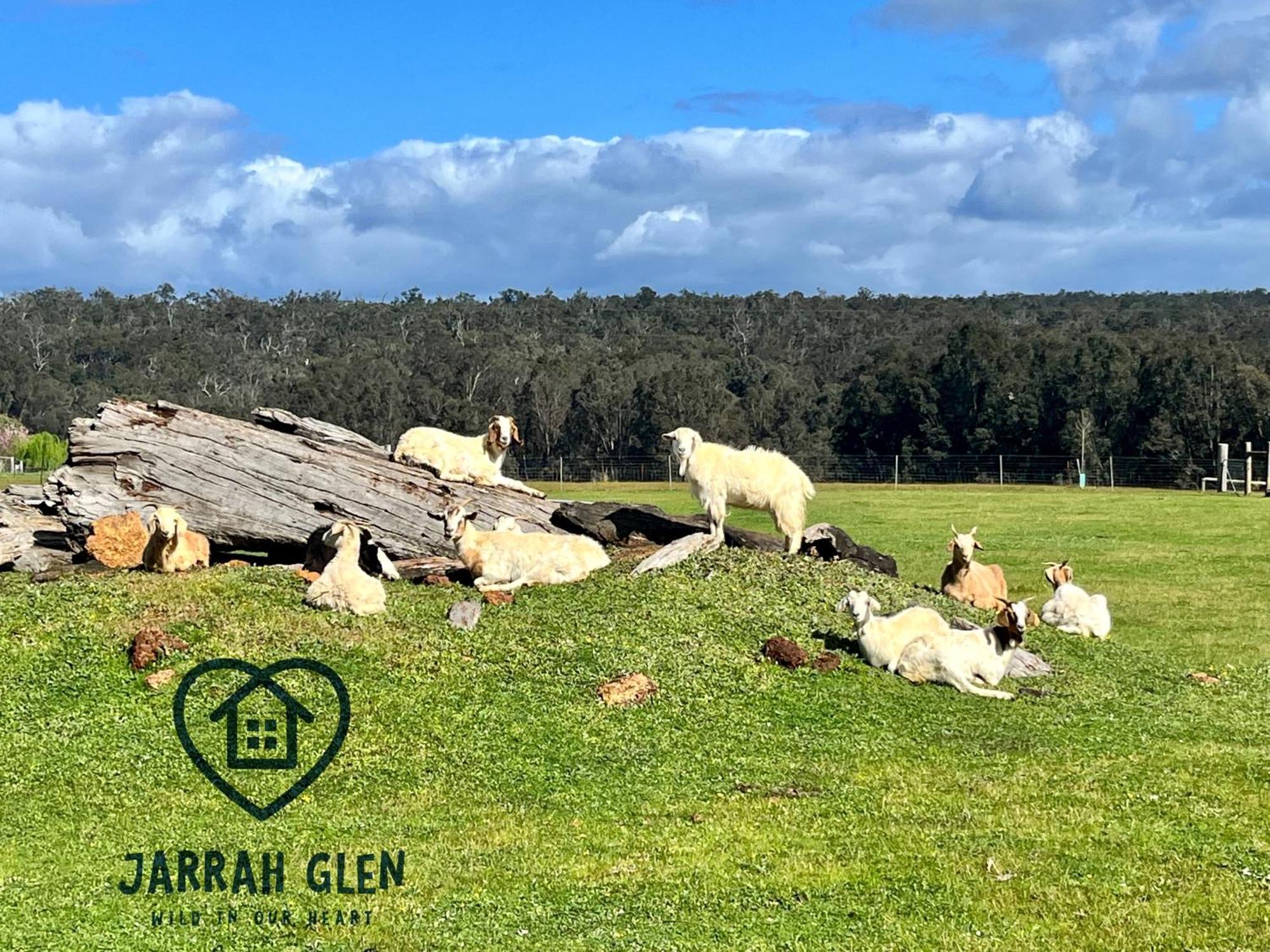 Jarrah Glen Cabins Nannup Exterior photo