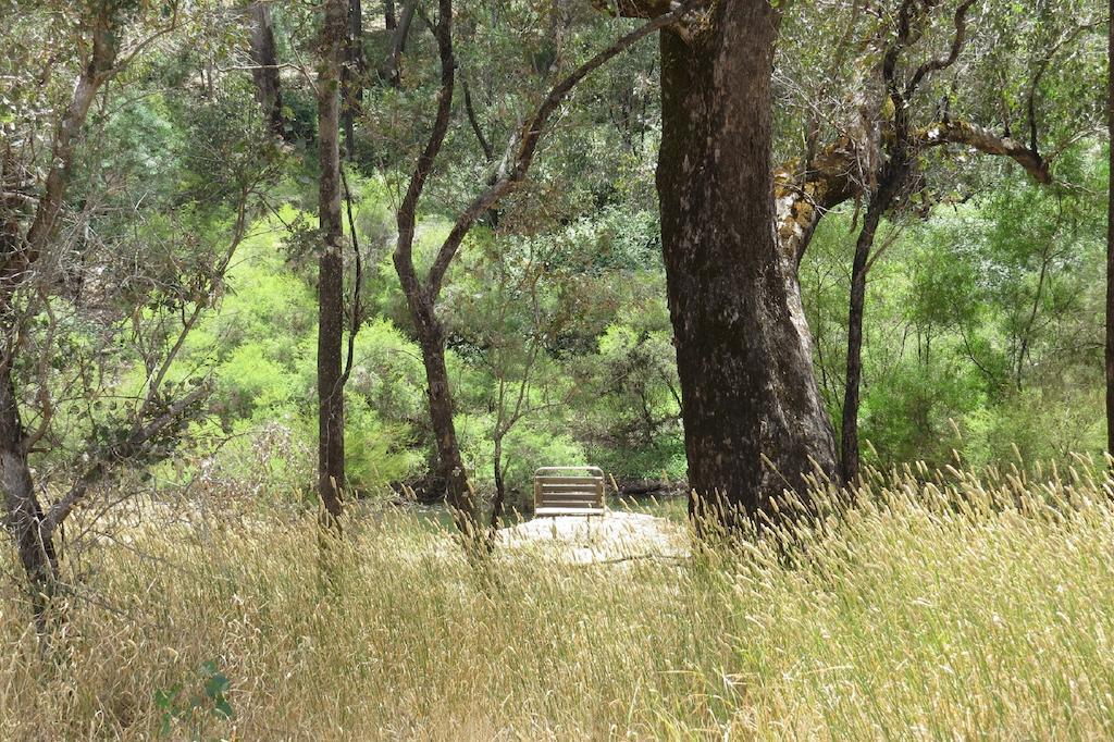 Jarrah Glen Cabins Nannup Room photo